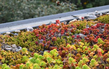 the cost of Semley green roof installation
