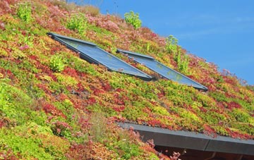 Semley living roof systems