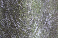 Semley fibreglass roof work